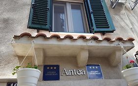 Antea